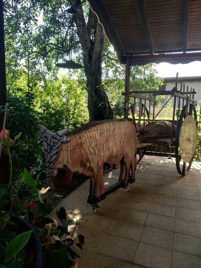 Ti Kaz En Bois Villa Sainte-Rose Ngoại thất bức ảnh